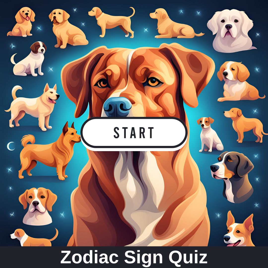 What kind of dog are you shops quiz